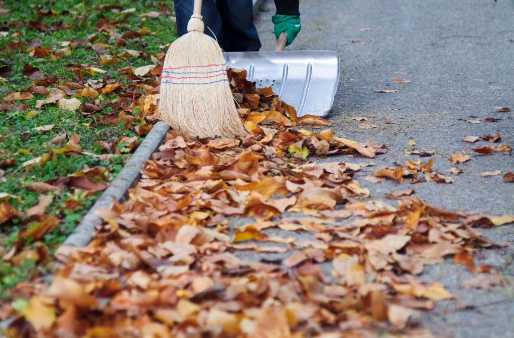 street sweeping